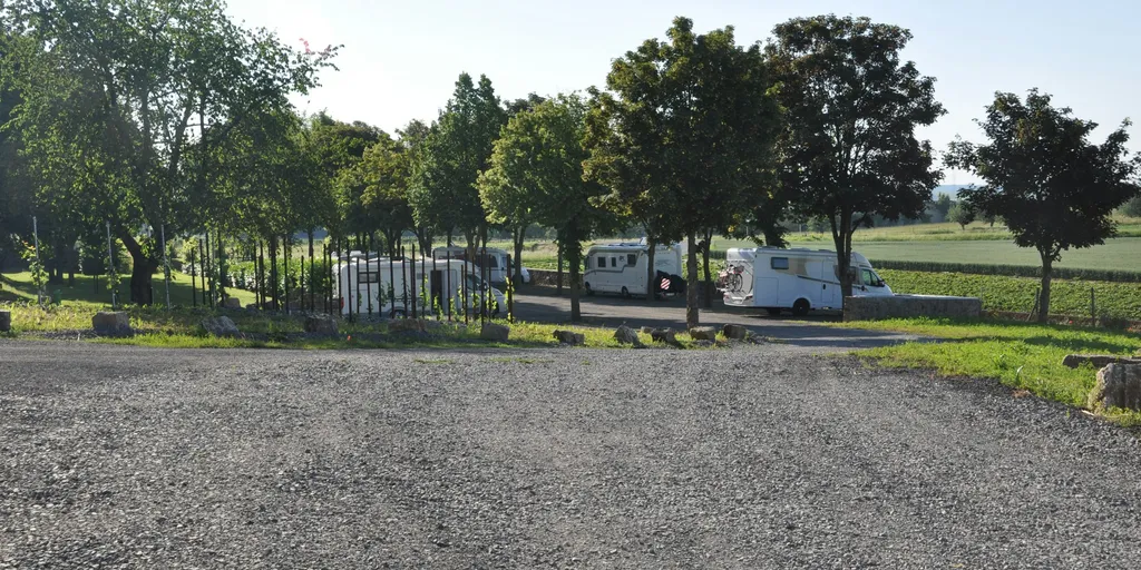 Mittendrin im Weinerlebnis