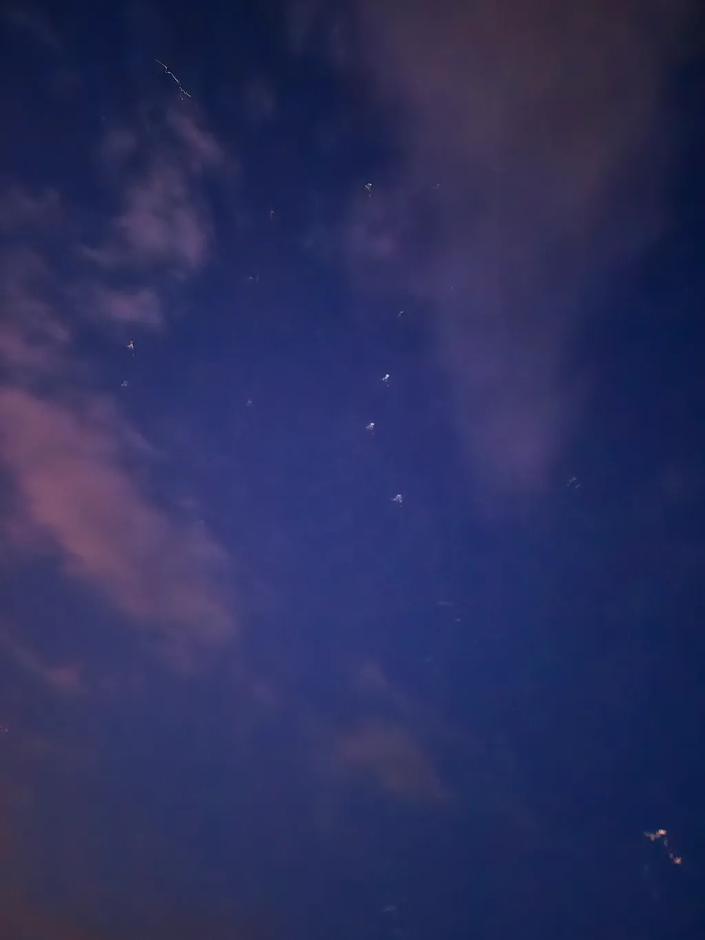 Bild von Michelle für den Spot 300