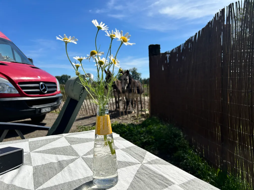 Bild von Peter für den Spot 4426