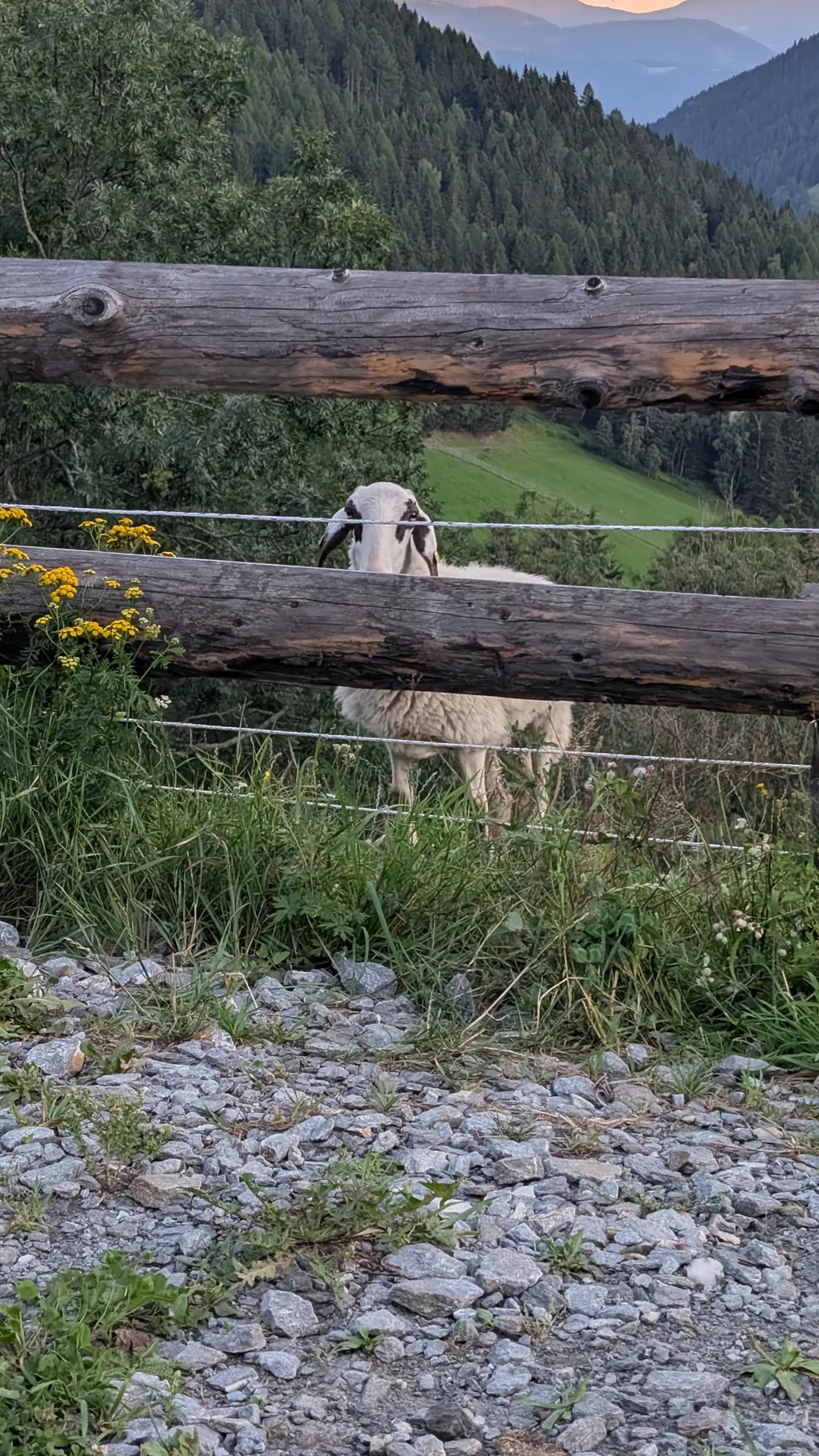 Bild von Kevin für den Spot 4743