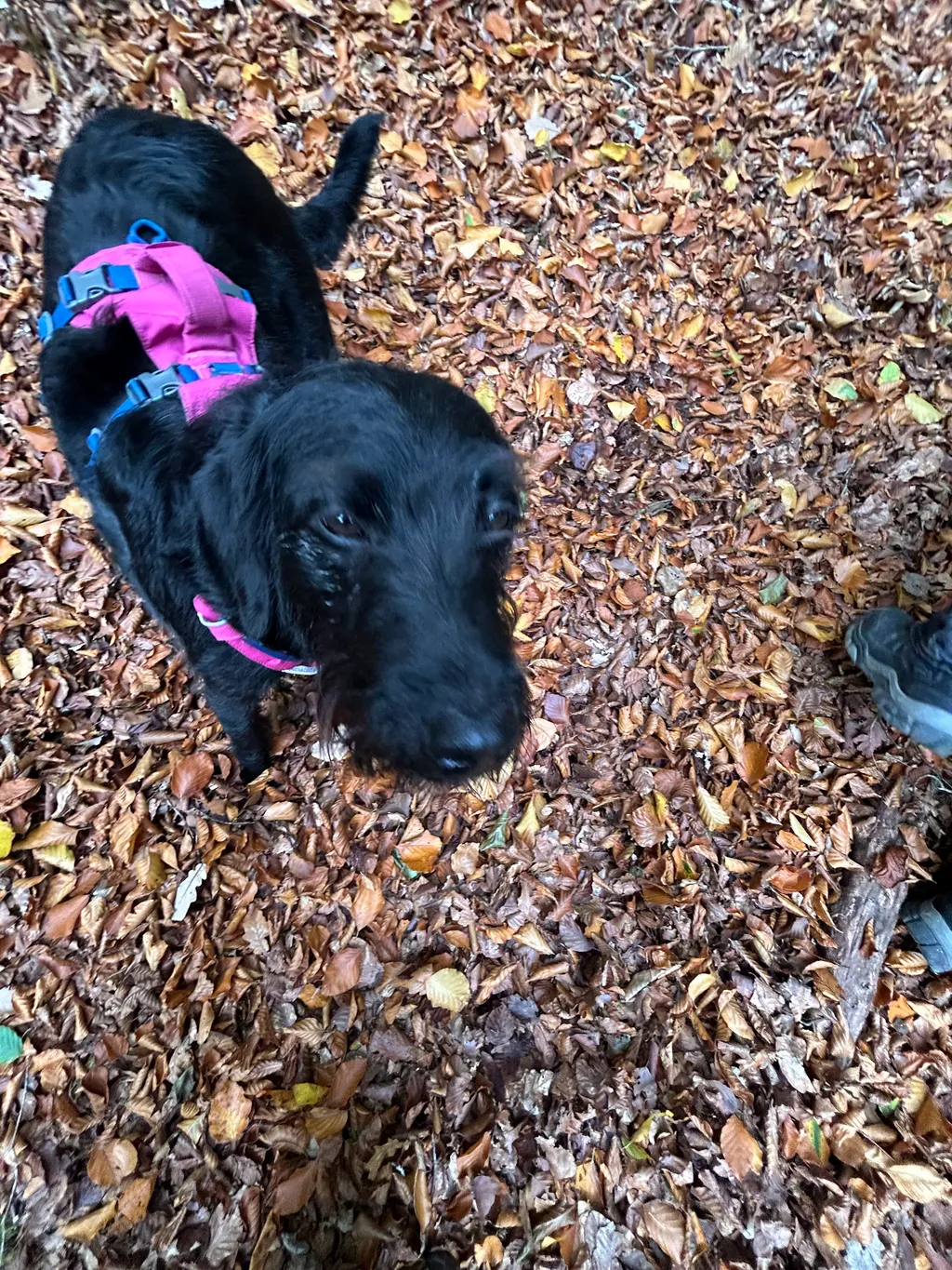 Image by Erik for spot 4321