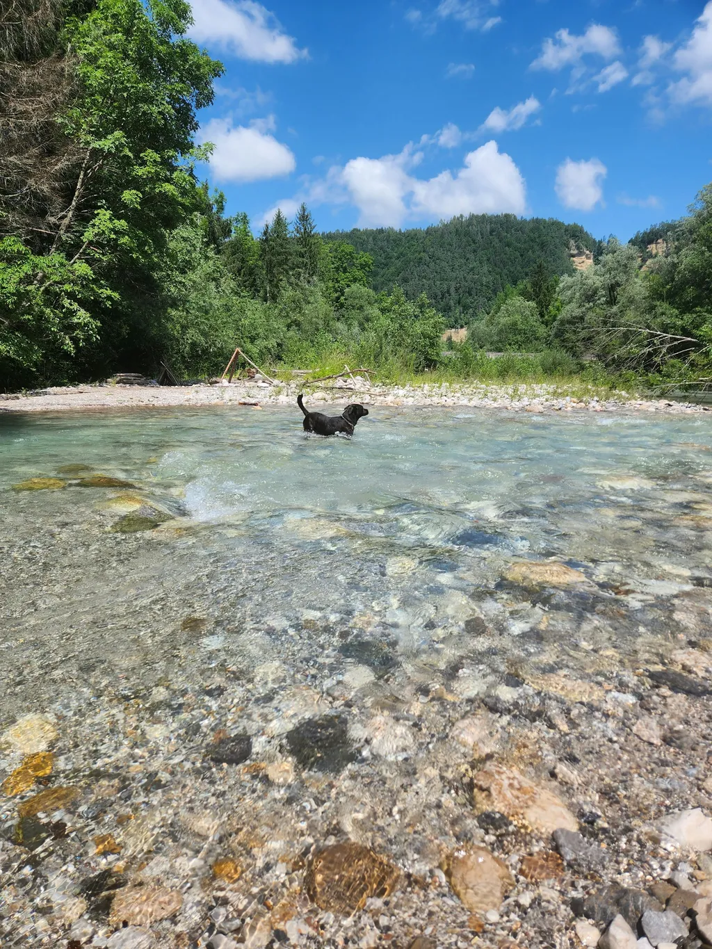 Idyllisches Plätzchen am Bach