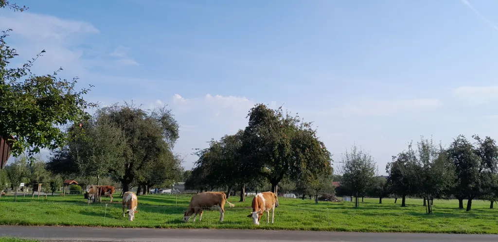 Bild von Andreas für den Spot 77