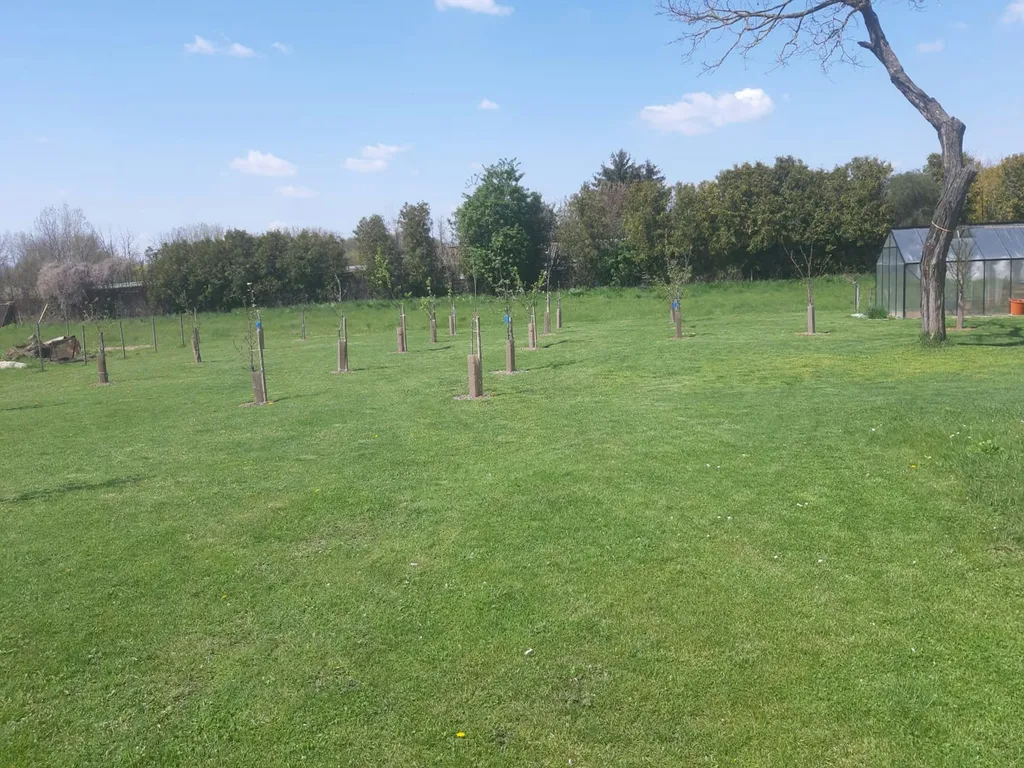 Zwischen Wien und Budapest bei Györ