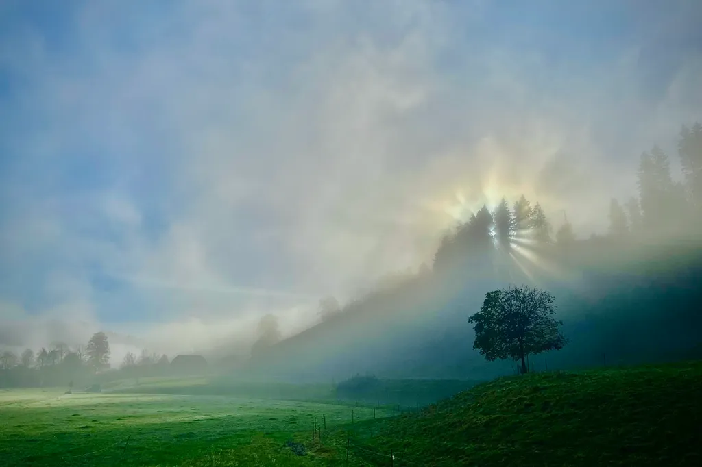 Auch im Nebel ists schön.