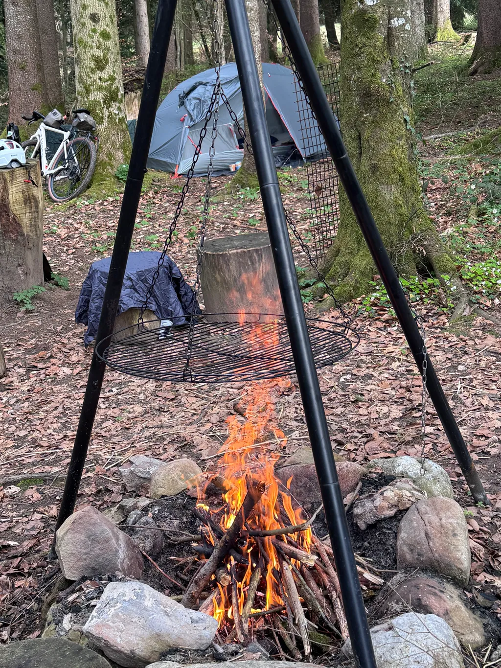 Bild von Daniel für den Spot 207