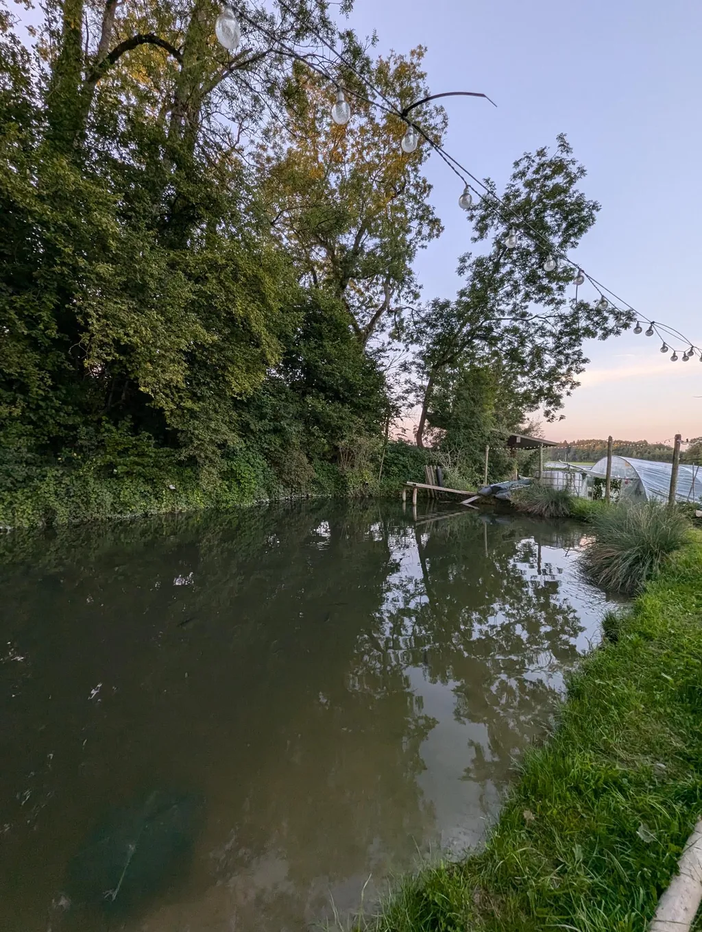 Wunderschön gelegener Stellplatz bei Ravensburg