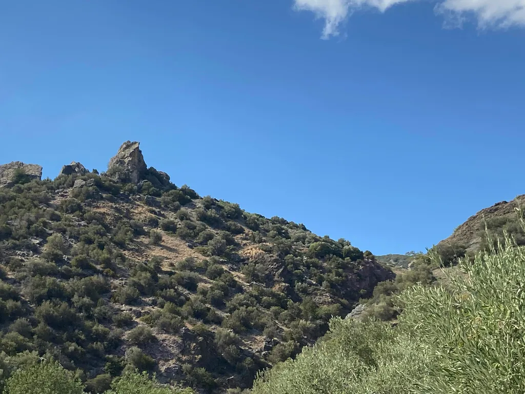 Südkreta, Olivenhain mit Meerblick