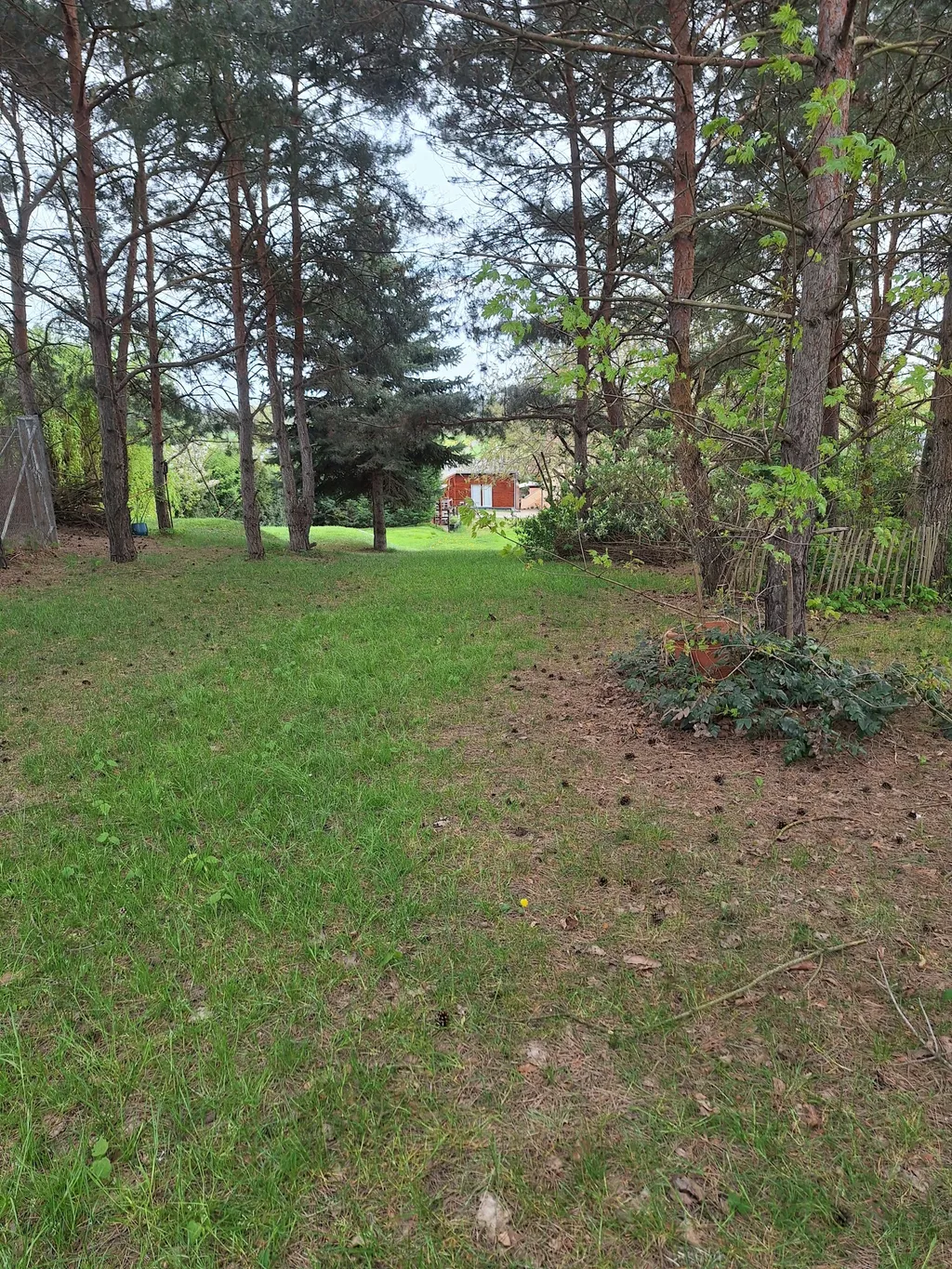 Abgelegene Ponywiese mit Sicht