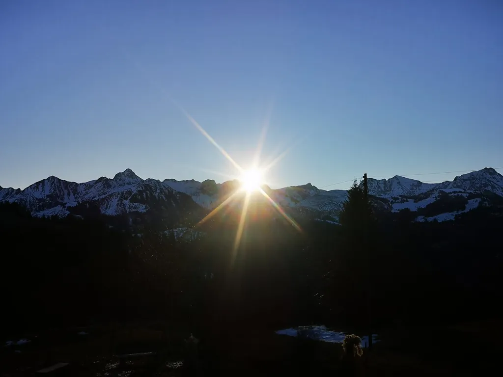Bergnest in märchenhafter Alpenkulisse