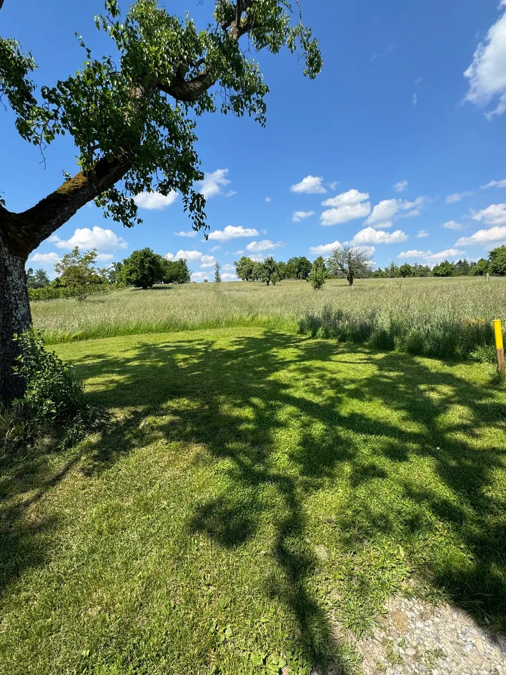 Bodenseestellplatz an der Ferienbox