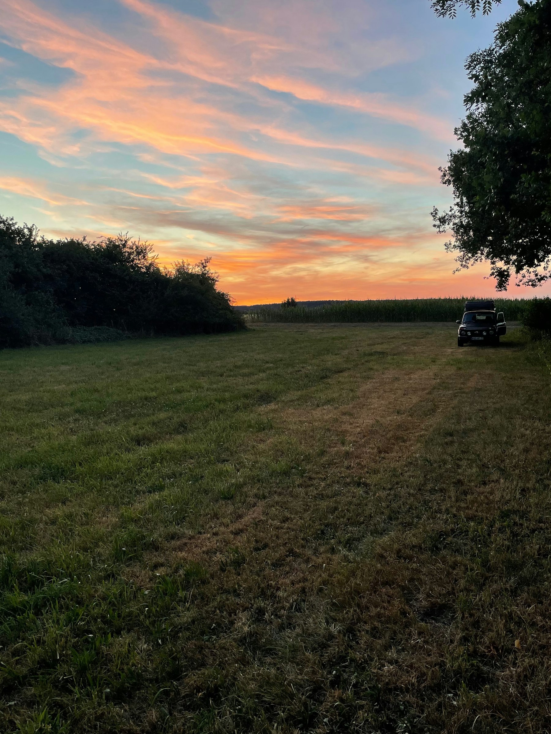 Idyllische Wiese nahe Altmühlsee