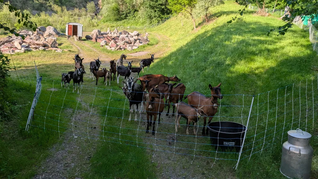Bild von Alexander für den Spot 189