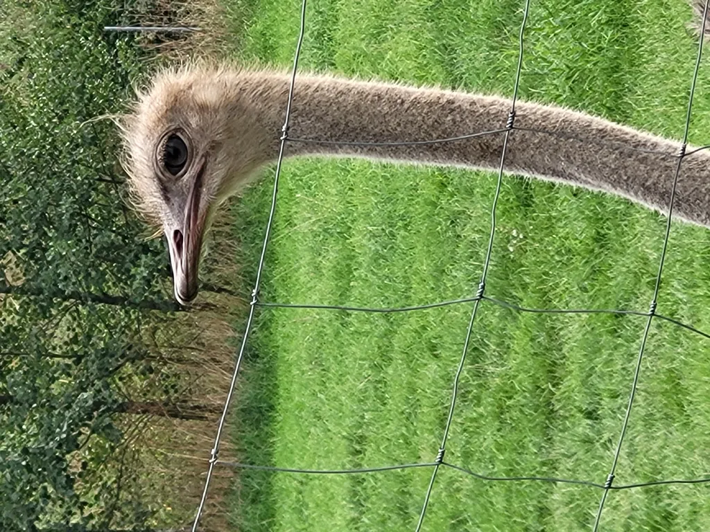 Bild von Birgit für den Spot 762