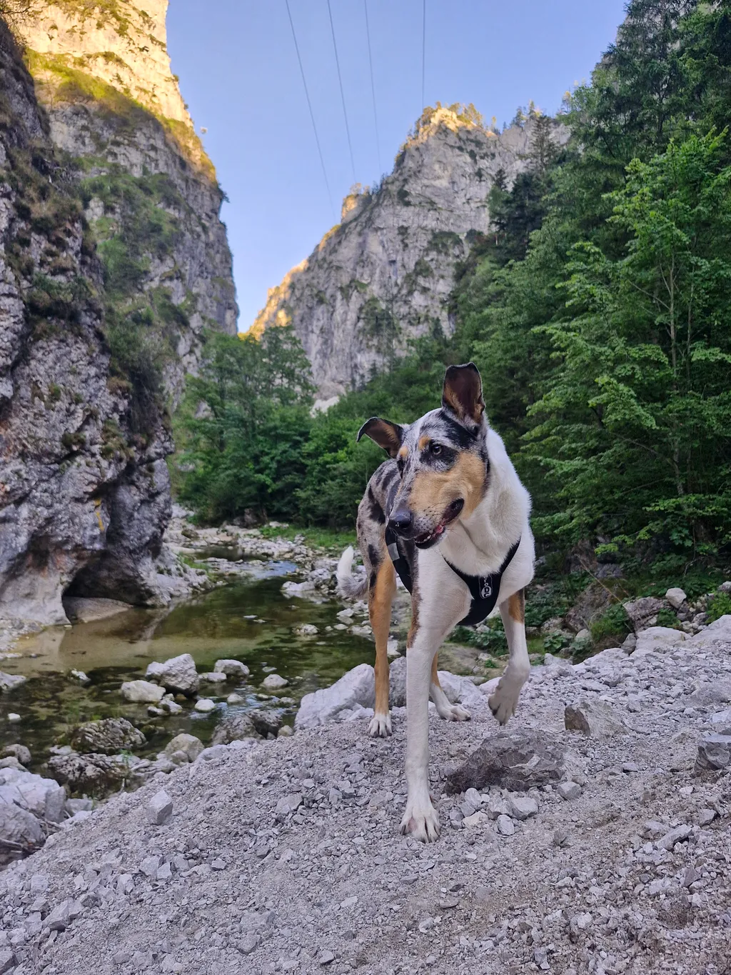 Bild von Kryštof für den Spot 4652