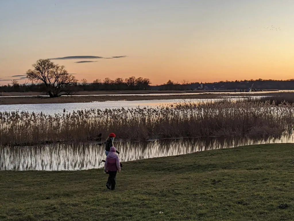 Obstwiese an der Oder (Zelt)