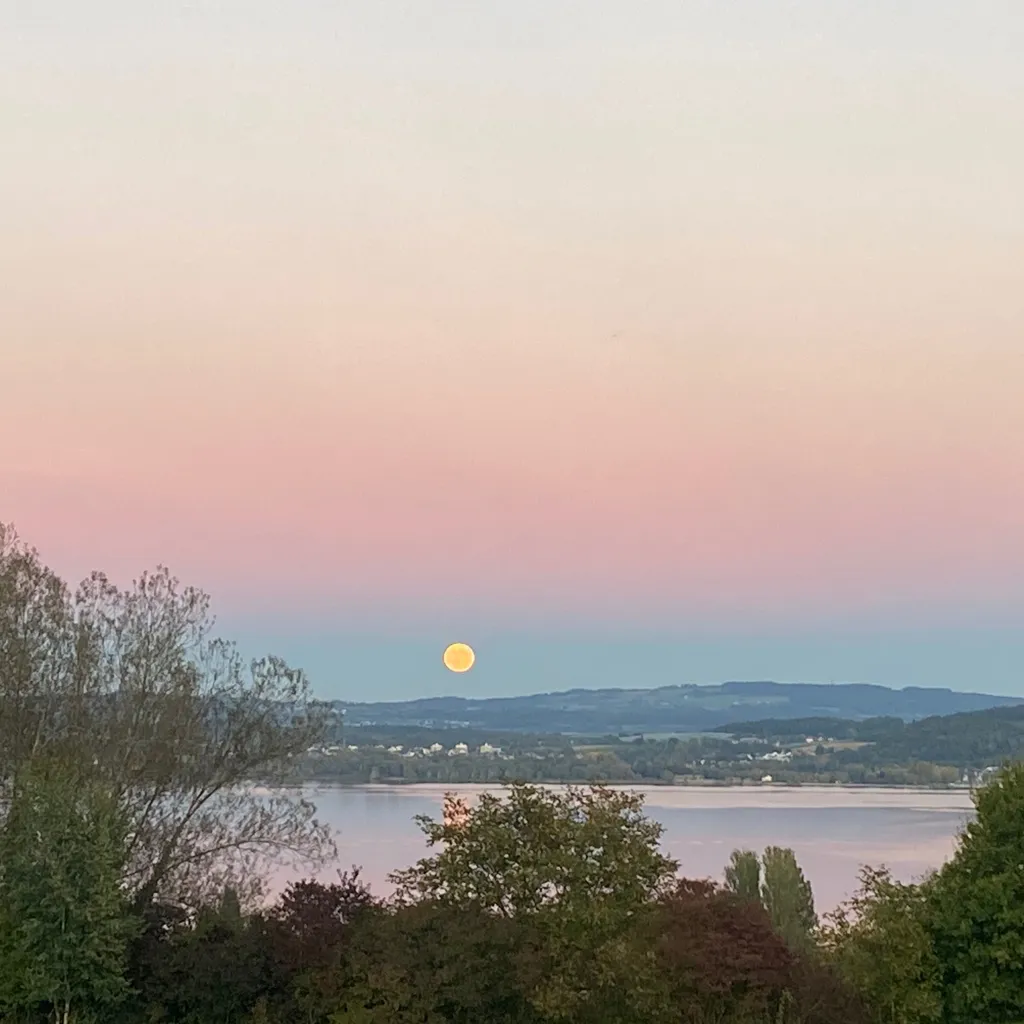 Profilbild von Christina