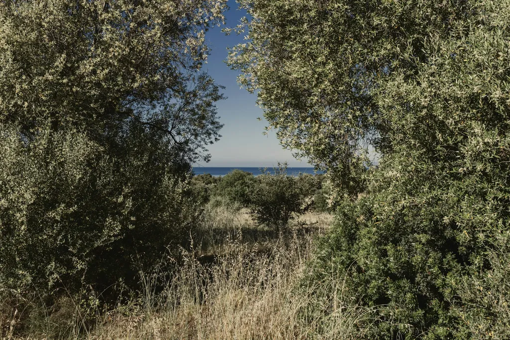 Camp Officina Equestre