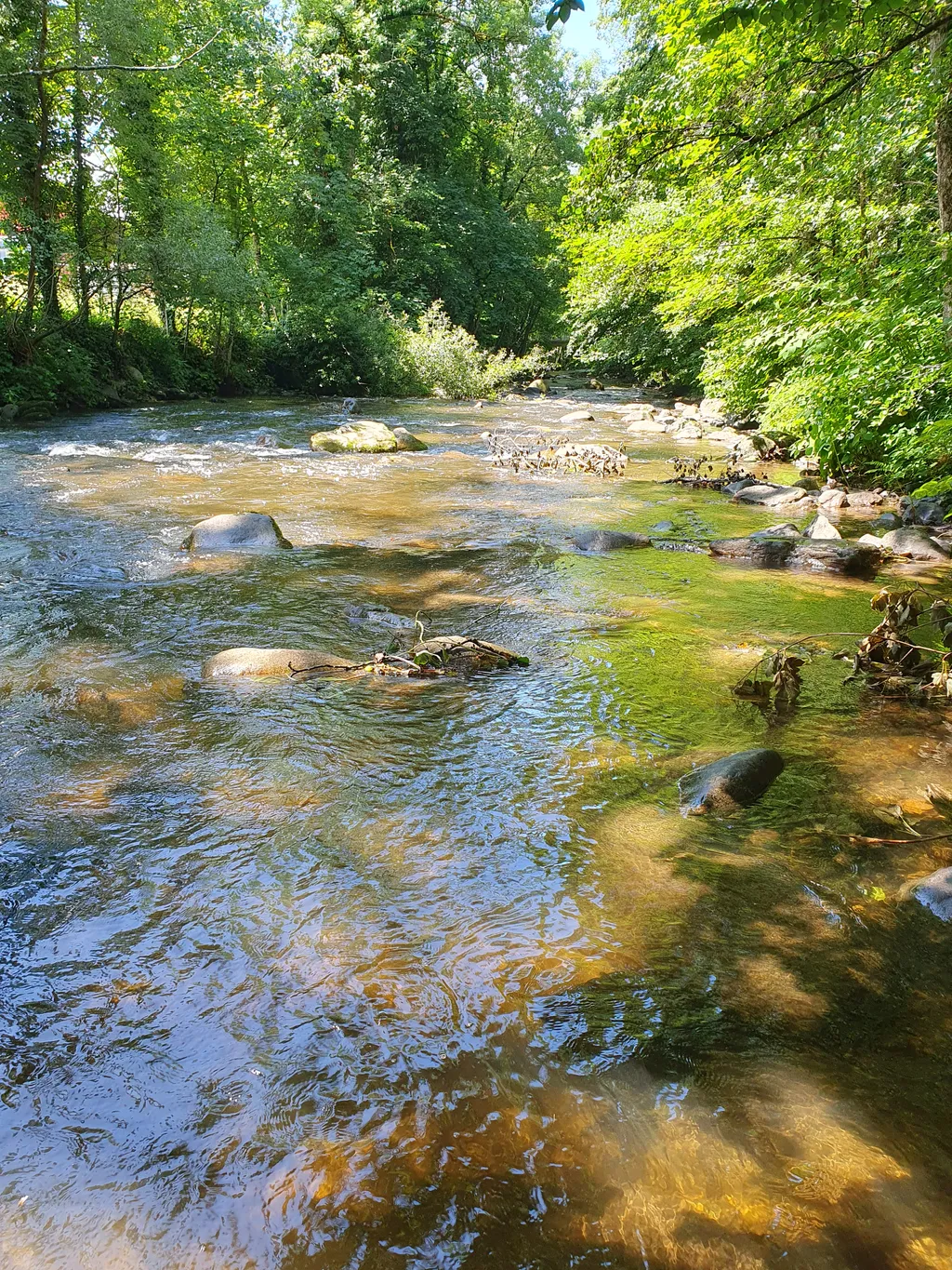 Bild von Tanja für den Spot 1620