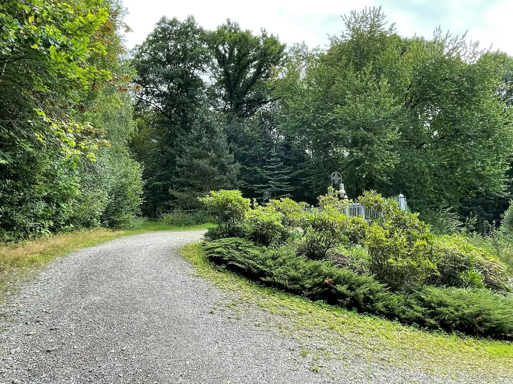 Waldidyll am Waldrand