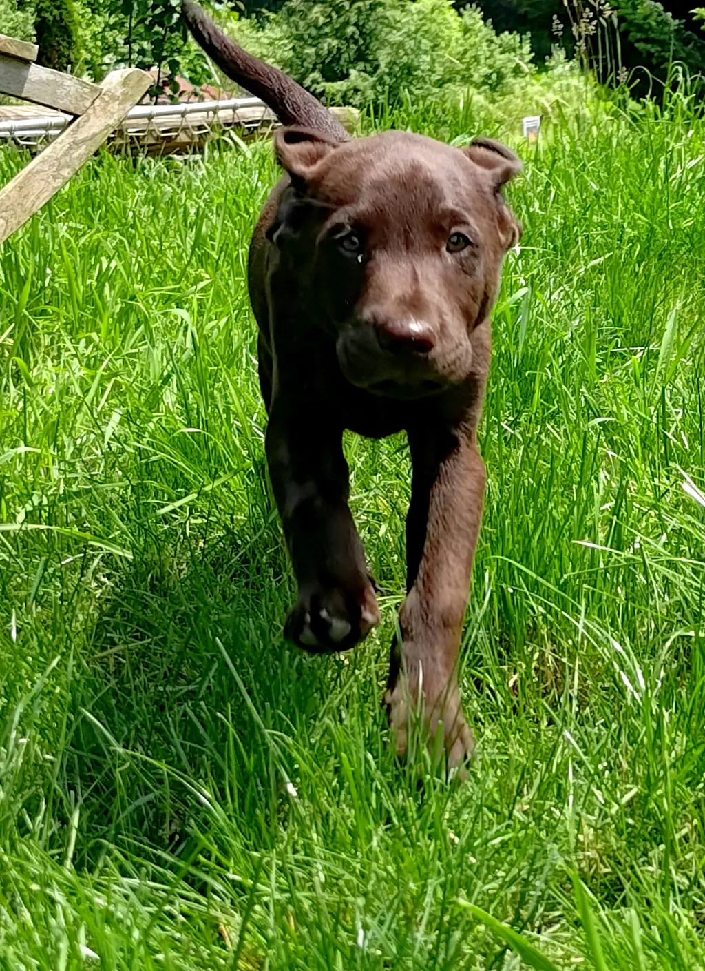 Profilbild von Nadine