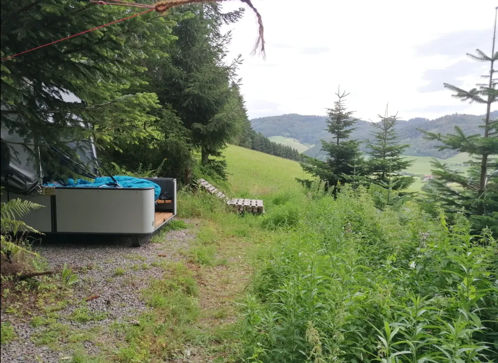 Blick auf Bett und Wiese am Waldrand