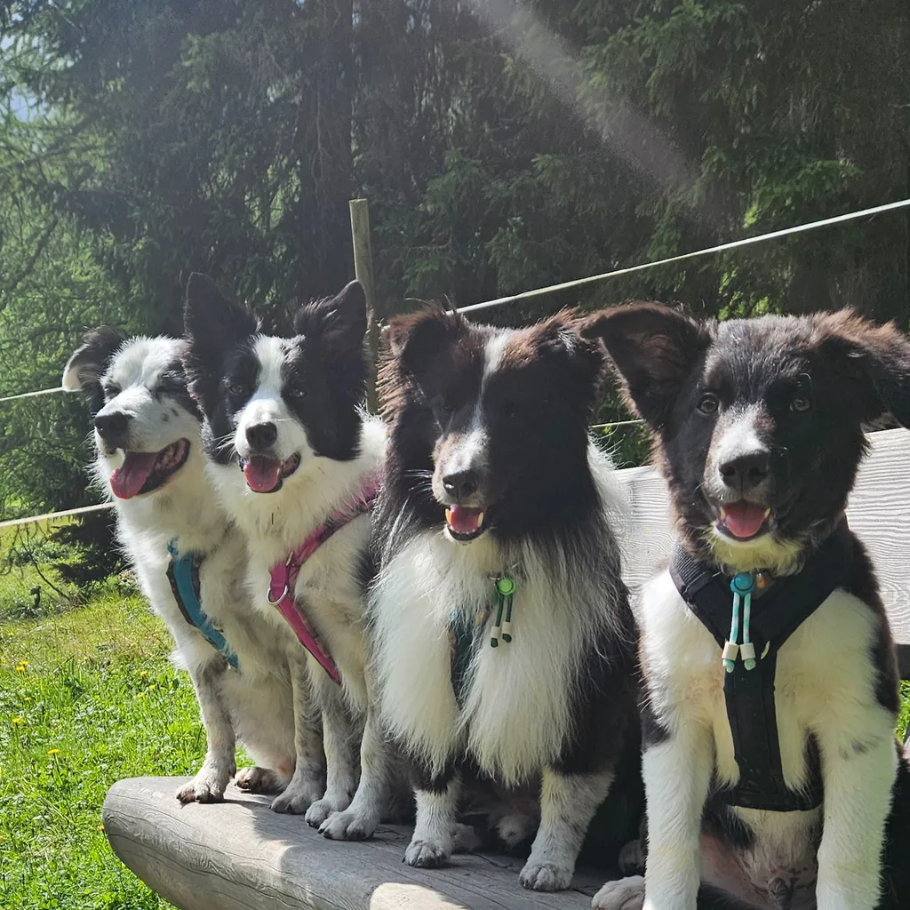 Profilbild von Nicole