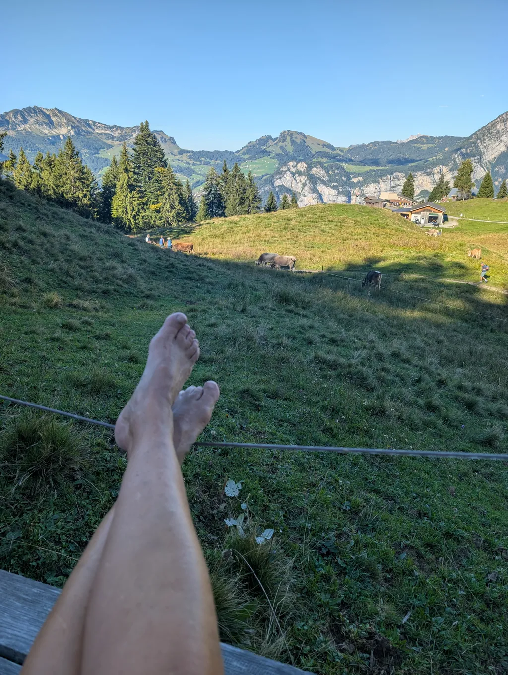 Image de Silvia pour le spot 695