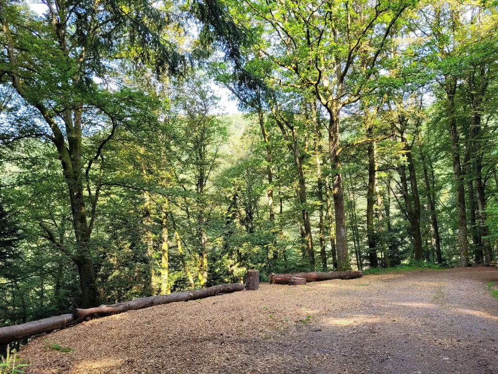 Naturcampingplatz unter den Buchen