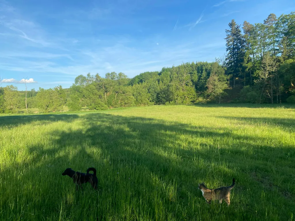 Auszeit von der Stadt