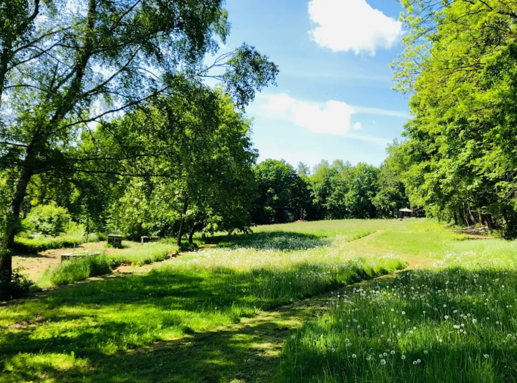 Holzhaus unter Buchen für mehr als 2