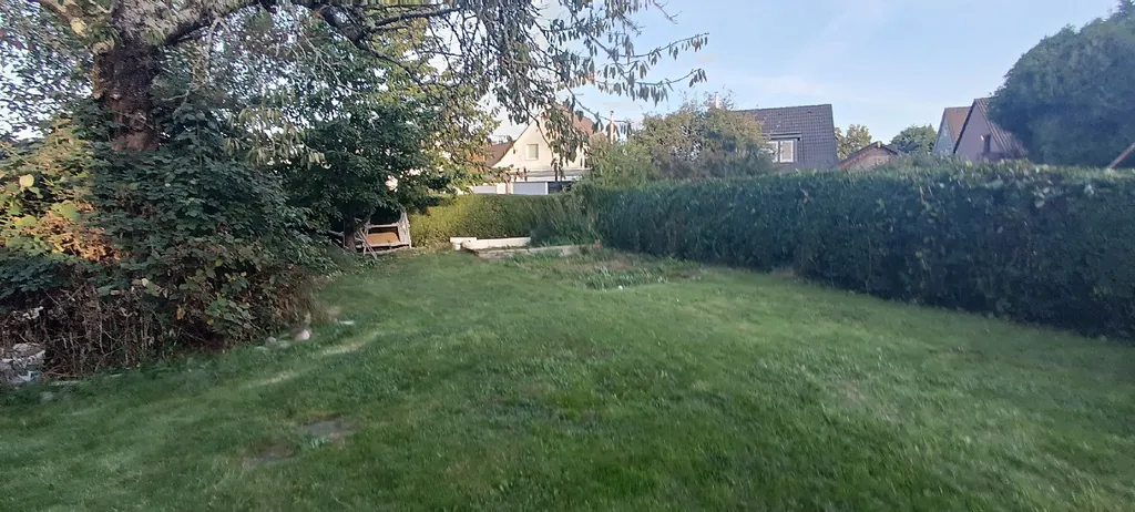 Grüne Gartenwiese nähe Ostparksiedlung