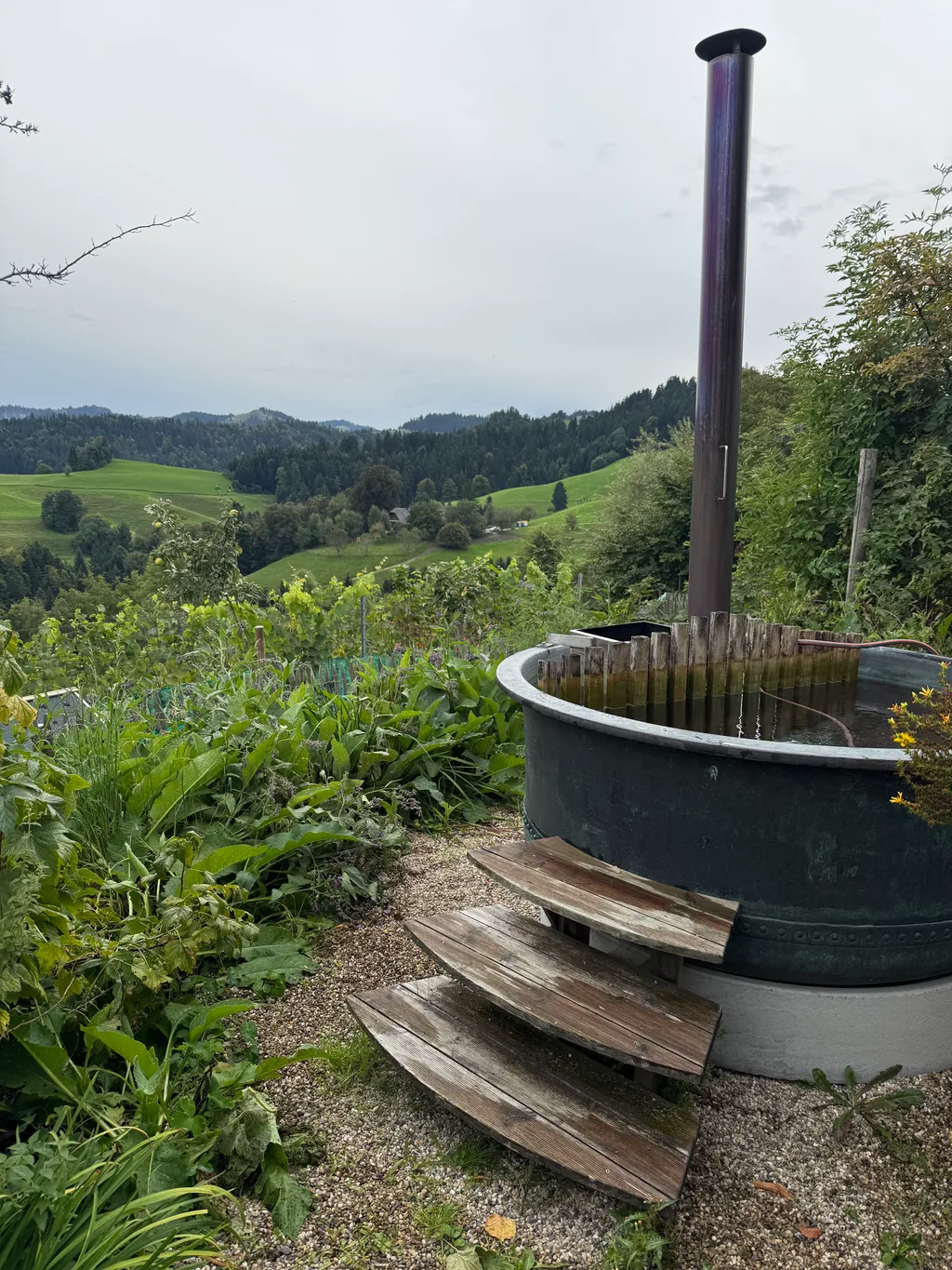 Bild von Andrea für den Spot 268