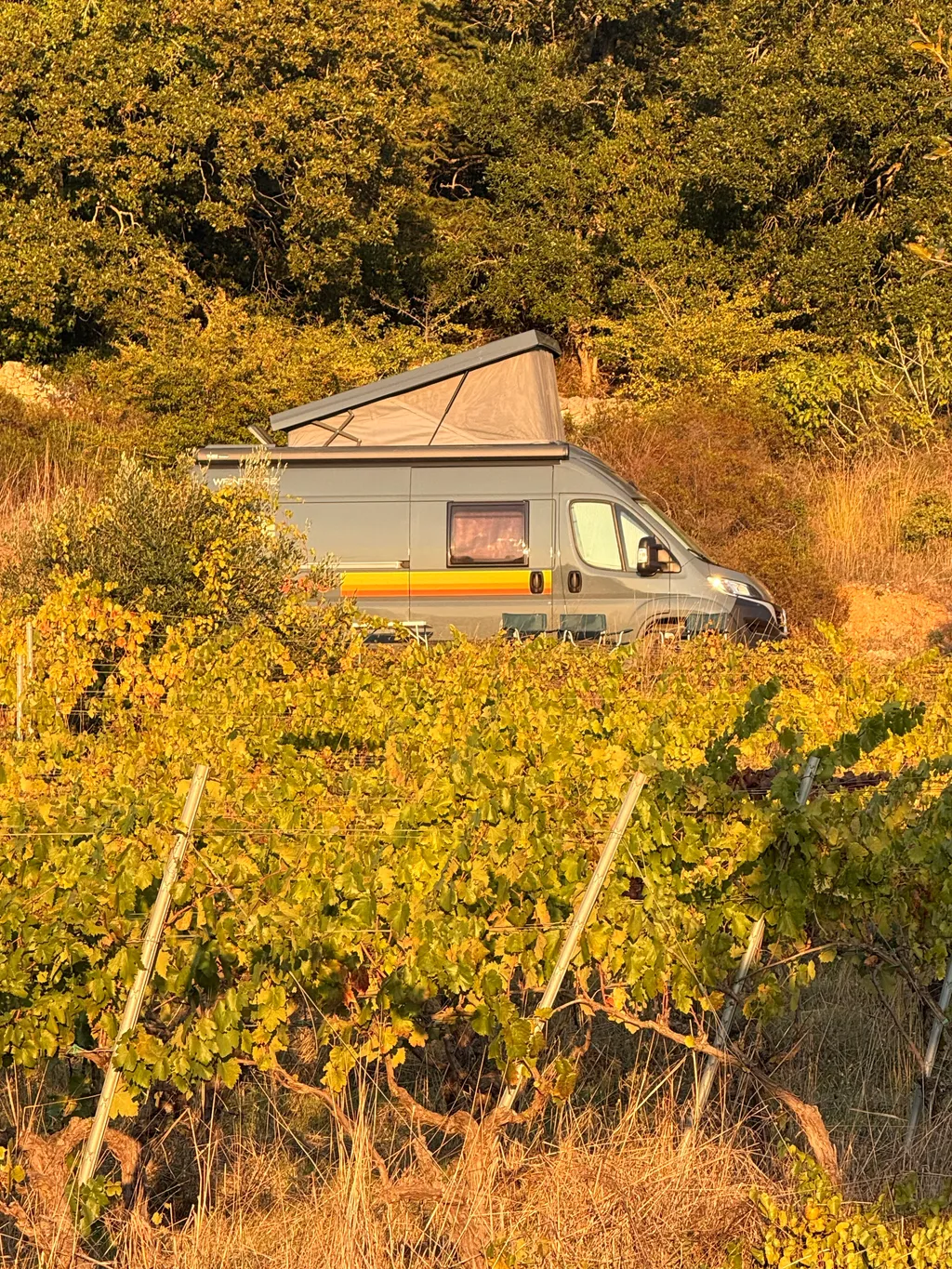 Bild von Kira für den Spot 1040