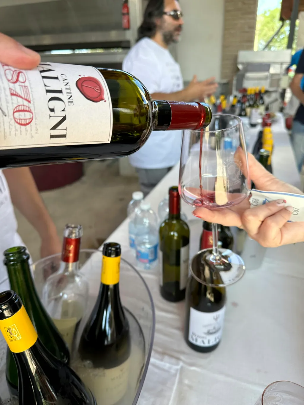 Cantina e Vigneti