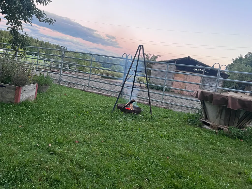 Bild von birgit für den Spot 736