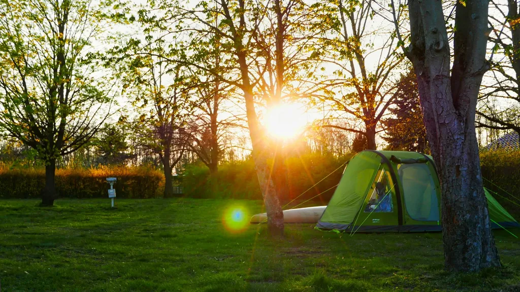 Gemütliche Wiese mit alten Bäumen