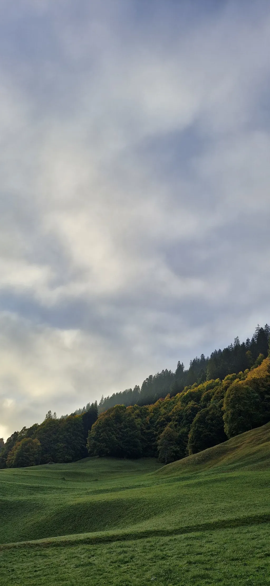 Bild von Salome für den Spot 295