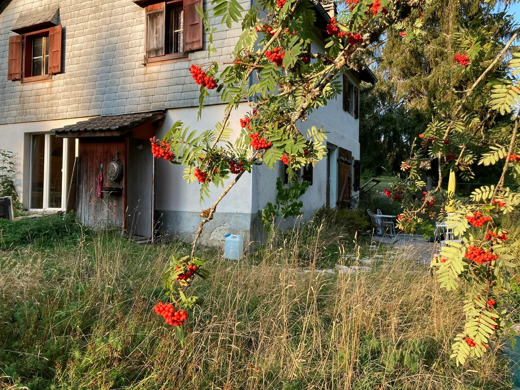 Paturage au Jura Neuchâtelois