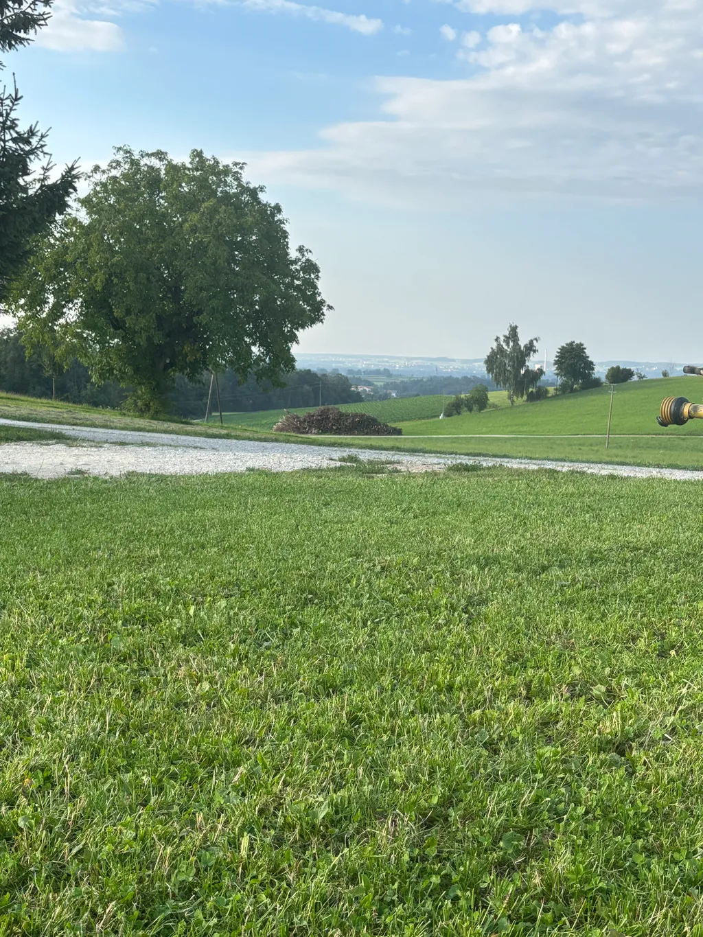 Bild von Bettina für den Spot 1507