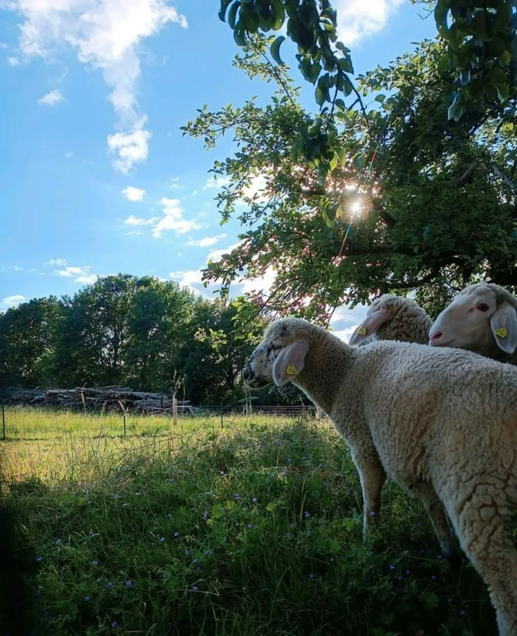 Eisenbahn trifft Landromantik