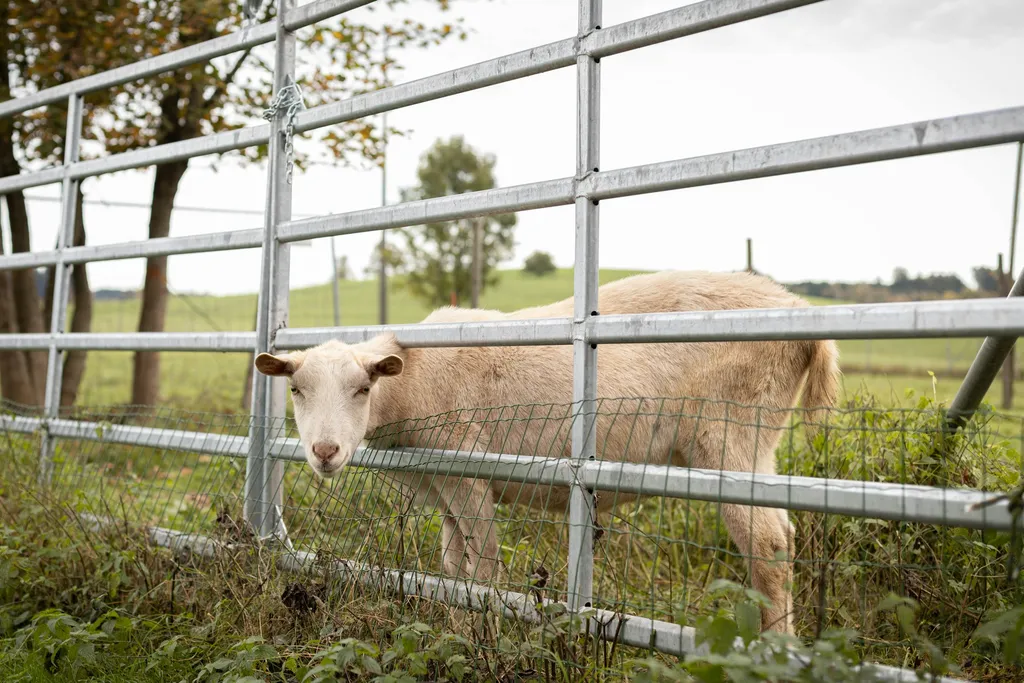 Idyllisches Plätzchen neben Biohof