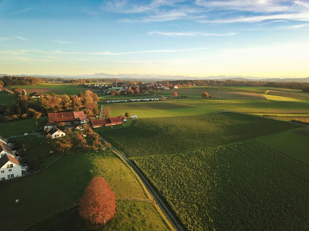 Bauernhof mit Schwarzwaldblick