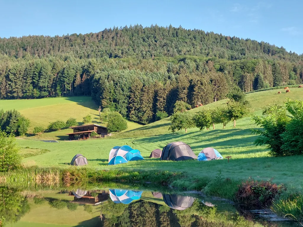 Blick in Richtung Wald