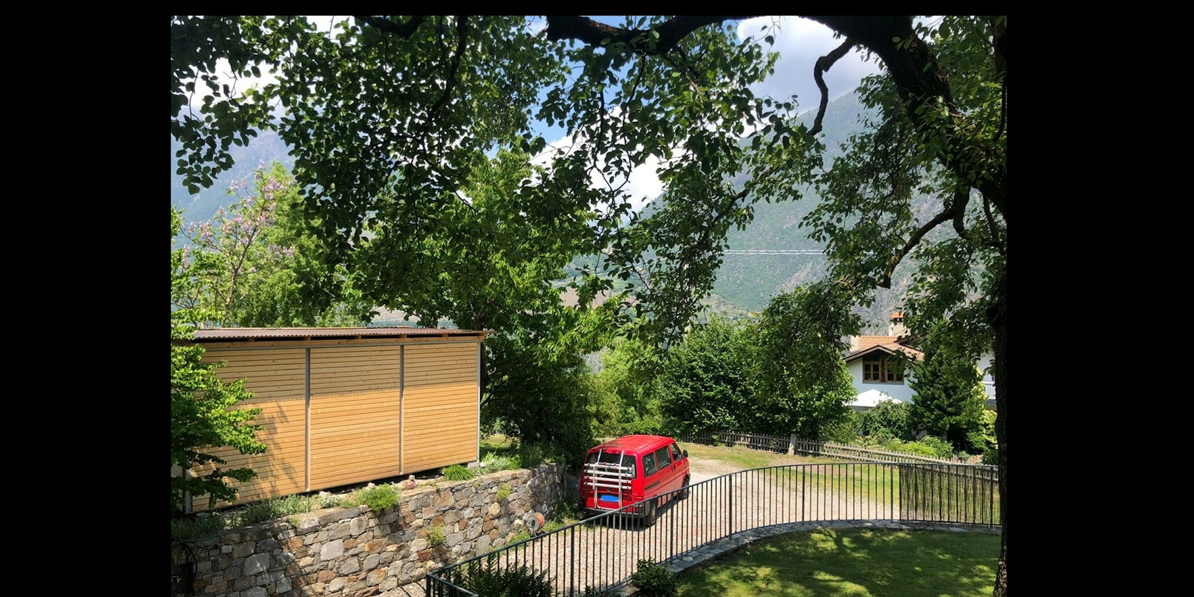 Mein steinalter Birnbaum