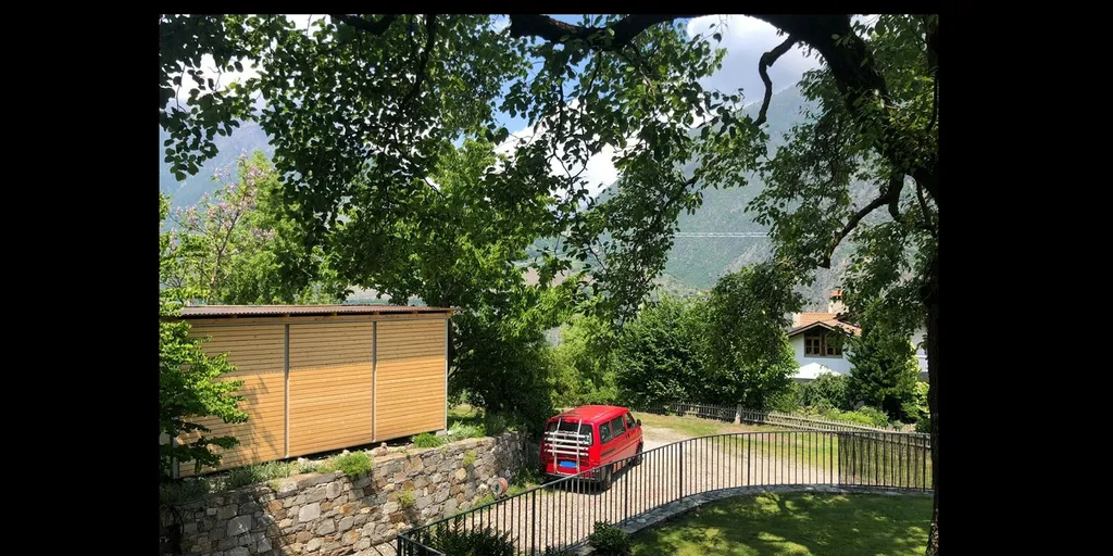 Mein steinalter Birnbaum