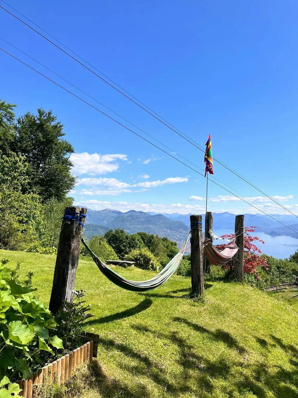 Painting lake view in the nature