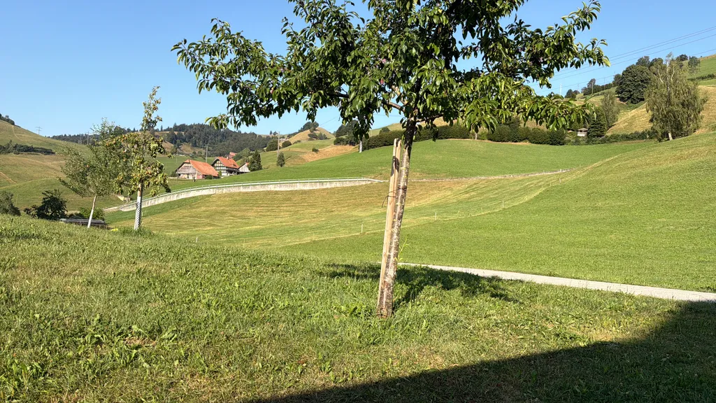 Bild von Claire für den Spot 355