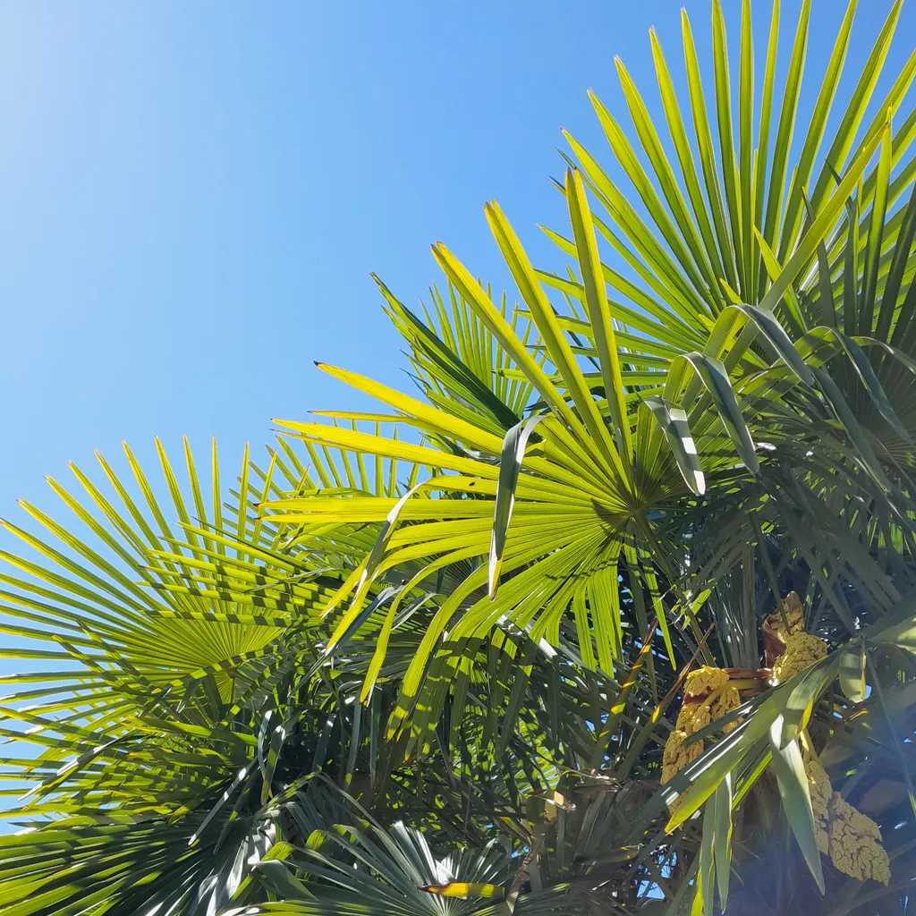 Profilbild von Marianne & François