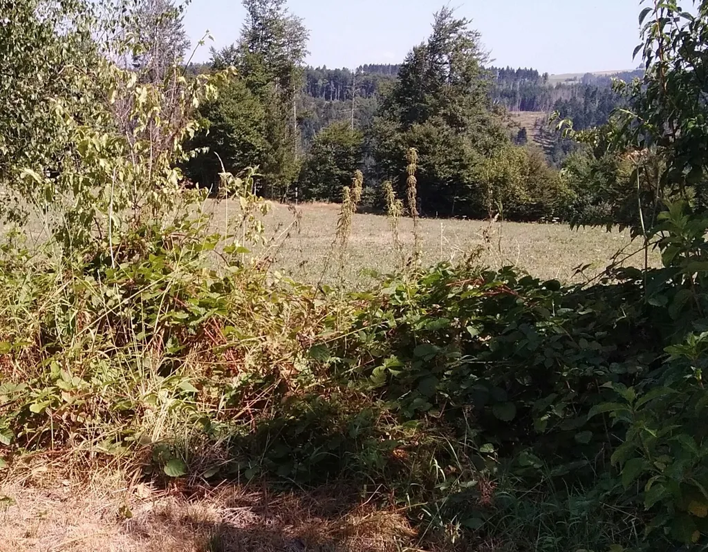 Aufatmen im Paradies Hotzenwald
